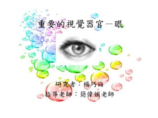 重要的視覺器官 － 眼