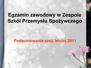 Egzamin zawodowy w Zespole Szkół Przemysłu Spożywczego