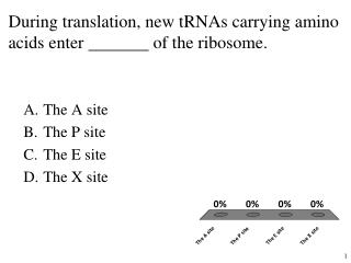 During translation, new tRNAs carrying amino acids enter of the ribosome.