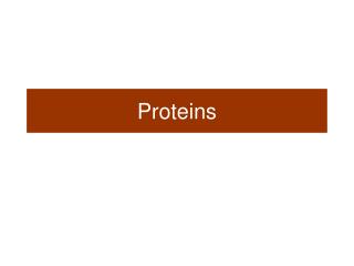 Proteins