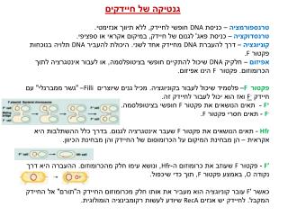 גנטיקה של חיידקים טרנספורמציה – כניסת DNA חופשי לחיידק, ללא תיווך אנזימטי.