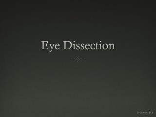 Eye Dissection