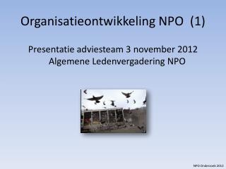 Organisatieontwikkeling NPO (1)