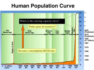 Where is the carrying capacity curve ?