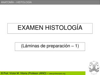 EXAMEN HISTOLOGÍA