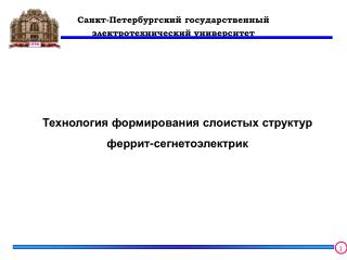 Санкт-Петербургский государственный электротехнический университет