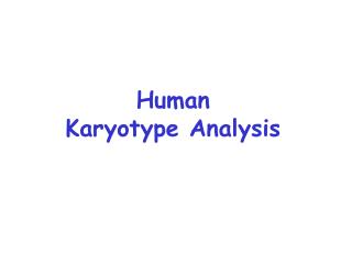 Human Karyotype Analysis