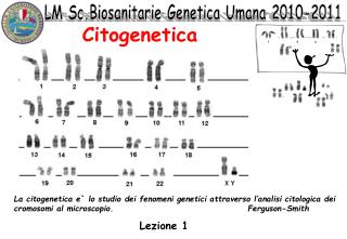 Citogenetica