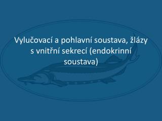 Vylučovací a pohlavní soustava, žlázy s vnitřní sekrecí (endokrinní soustava)