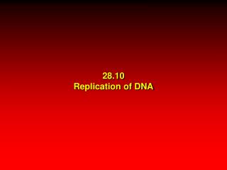28.10 Replication of DNA