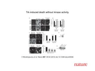 V Nikoletopoulou et al. Nature 467 , 59-63 (2010) doi:10.1038/nature09336