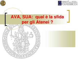 AVA, SUA: qual è la sfida per gli Atenei ?