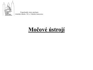 Močové ústrojí