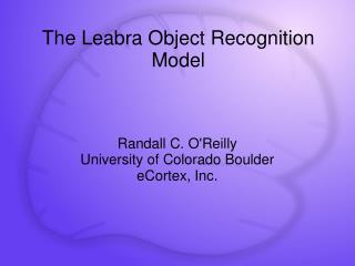 The Leabra Object Recognition Model
