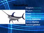 Swordfish