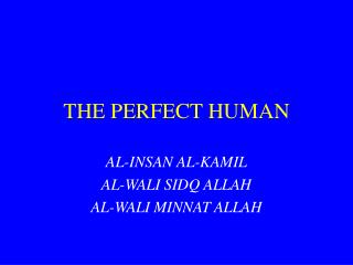 THE PERFECT HUMAN