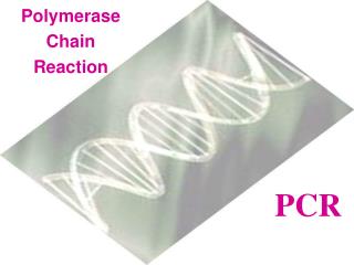 Polymerase Chain Reaction