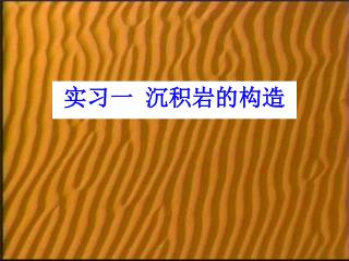 实习一 沉积岩的构造