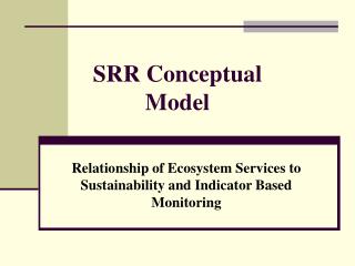 SRR Conceptual Model