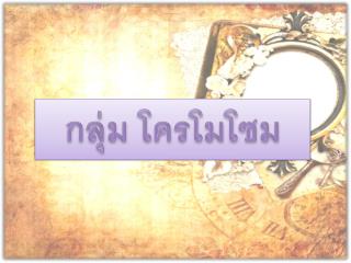 กลุ่ม โครโมโซม