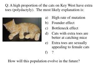 High rate of mutation Founder effect Bottleneck effect