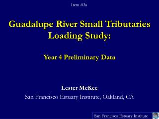 Guadalupe River Small Tributaries Loading Study: Year 4 Preliminary Data