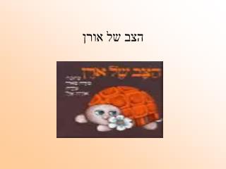 הצב של אורן