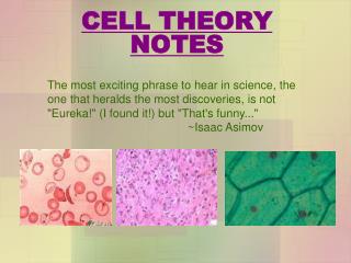 CELL THEORY NOTES