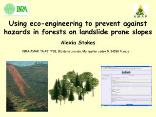 Using eco-engineering to prevent against hazards in forests on landslide prone slopes