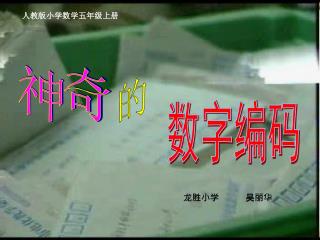 数字编码