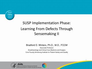 SUSP Implementation Phase: Learning From Defects Through Sensemaking II