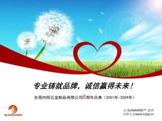 东莞向阳五金制品有限公司 8 周年庆典（ 2001 年 -2009 年）