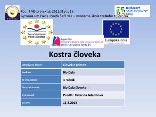 Kostra človeka