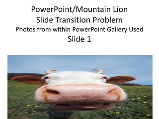 powerpoint mountain lion transition problem