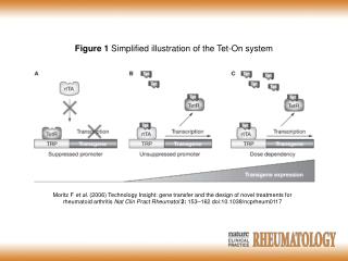 Moritz F et al. (2006) Technology Insight: gene transfer and the design of novel treatments for