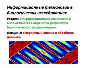 Информационные технологии в биологических исследованиях