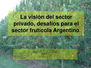 La visión del sector privado, desafíos para el sector frutícola Argentino .