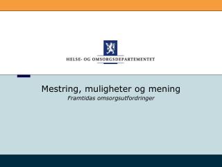 Mestring, muligheter og mening