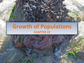 Growth of Populations CHAPTER 22