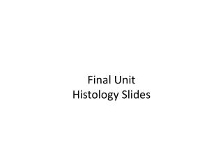 Final Unit Histology Slides