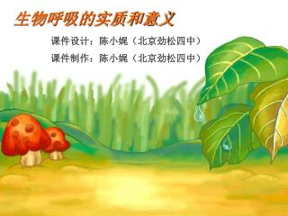 生物呼吸的实质和意义