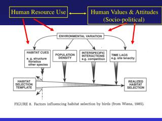 Human Resource Use