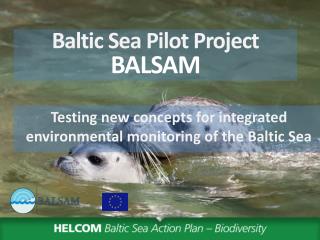 Baltic Sea Pilot Project BALSAM