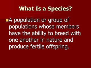 What Is a Species?