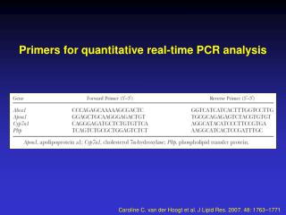 Primers for quantitative real-time PCR analysis