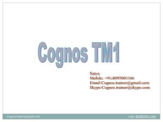 Cognos TM1