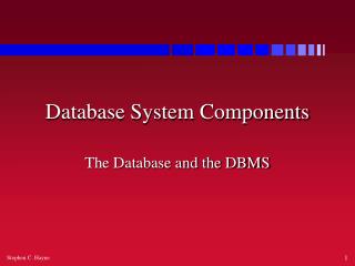 Database System Components