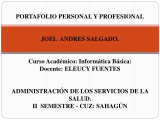 PORTAFOLIO PERSONAL Y PROFESIONAL JOEL ANDRES SALGADO. Curso Académico: Informática Básica: