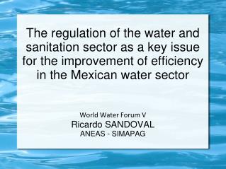 World Water Forum V Ricardo SANDOVAL ANEAS - SIMAPAG