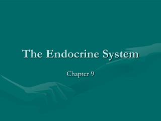 The Endocrine System